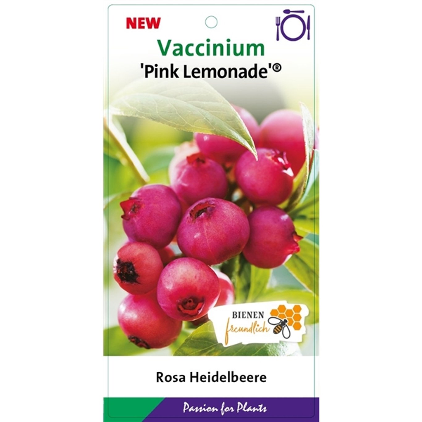 Vaccinium cor. 'Pink Lemonade' - C5 40-60 CM